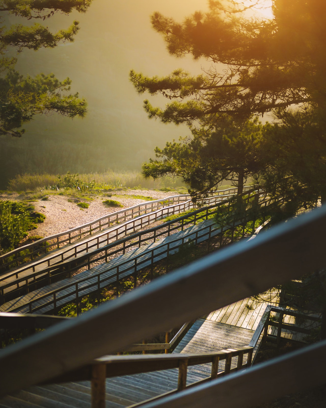 Foto von Snit pherspective von Pexels